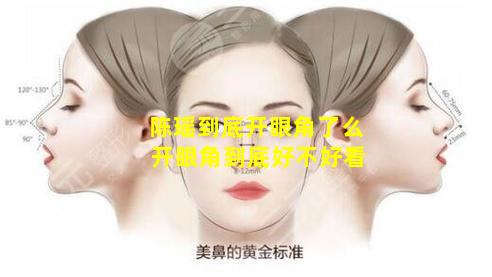 陈瑶到底开眼角了么 开眼角到底好不好看